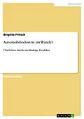 E-Book (pdf) Automobilindustrie im Wandel von Brigitte Fritsch