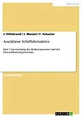 E-Book (pdf) Assetklasse Schifffahrtsaktien von J. Hillebrand, J. Manzel, F. Schuster