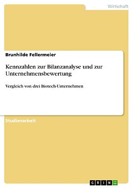 Kartonierter Einband Kennzahlen zur Bilanzanalyse und zur Unternehmensbewertung von Brunhilde Fellermeier