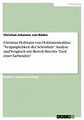 E-Book (epub) Christian Hofmann von Hofmannswaldau: "Vergänglichkeit der Schönheit". Analyse und Vergleich mit Bertolt Brechts "Lied einer Liebenden" von Christian Johannes von Rüden