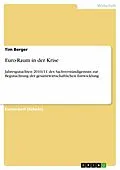 E-Book (epub) Euro-Raum in der Krise von Tim Berger