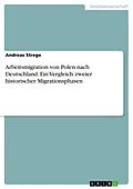 E-Book (pdf) Arbeitsmigration von Polen nach Deutschland - ein Vergleich zweier historischer Migrationsphasen von Andreas Strege