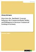E-Book (epub) How does the "Bad Bank" Concept Influence the Commercial Banks' Ability and Willingness to Increase Commercial Lending in Germany von Alexej Antropov