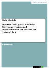 E-Book (pdf) Berufsverbände, gewerkschaftliche Interessensvertretung und Interessenhandeln der Praktiker der Sozialen Arbeit von Mario Schmiedel