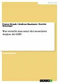 E-Book (epub) Was versteht man unter der monetären Analyse der EZB? von Franca Straub, Andreas Baumann, Kerstin Wiesinger