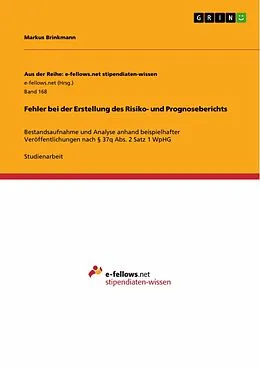 E-Book (epub) Fehler bei der Erstellung des Risiko- und Prognoseberichts von Markus Brinkmann