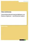 E-Book (pdf) Unternehmensbewertung im Rahmen von Fairness Opinions - eine kritische Analyse von Tobias Zacholowsky