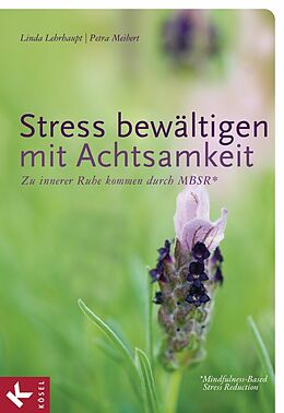 E-Book (pdf) Stress bewältigen mit Achtsamkeit von Linda Lehrhaupt, Petra Meibert