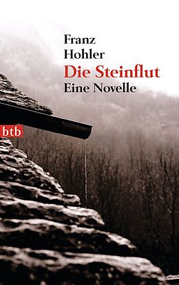 E-Book (epub) Die Steinflut von Franz Hohler