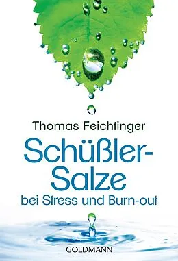 E-Book (epub) Schüßler-Salze bei Stress und Burn-out von Thomas Feichtinger