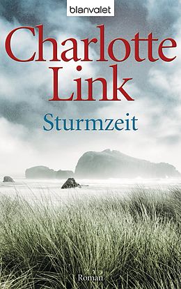 E-Book (epub) Sturmzeit von Charlotte Link