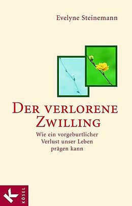 E-Book (epub) Der verlorene Zwilling von Evelyne Steinemann