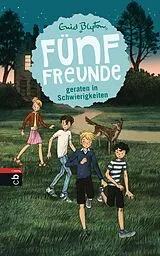 E-Book (epub) Fünf Freunde geraten in Schwierigkeiten von Enid Blyton