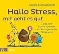 E-Book (epub) Hallo Stress, mir geht es gut von Carola Kleinschmidt