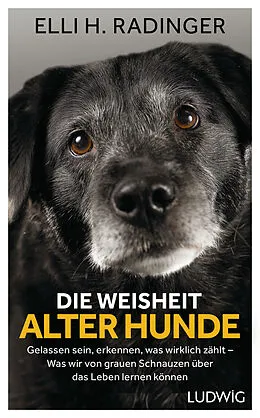 E-Book (epub) Die Weisheit alter Hunde von Elli H. Radinger