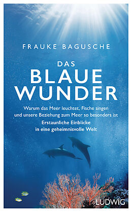 E-Book (epub) Das blaue Wunder von Frauke Bagusche