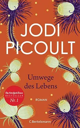 E-Book (epub) Umwege des Lebens von Jodi Picoult