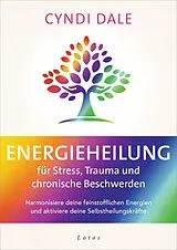 E-Book (epub) Energieheilung für Stress, Trauma und chronische Beschwerden von Cyndi Dale