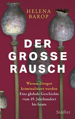E-Book (epub) Der große Rausch von Helena Barop