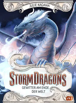 E-Book (epub) Storm Dragons  Gewitter am Ende der Welt von Julie Kagawa