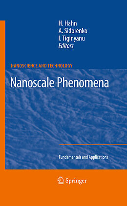 E-Book (pdf) Nanoscale Phenomena von Horst Hahn, Anatoli Sidorenko, Ion Tiginyanu
