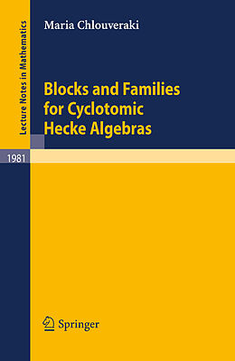 Kartonierter Einband Blocks and Families for Cyclotomic Hecke Algebras von Maria Chlouveraki
