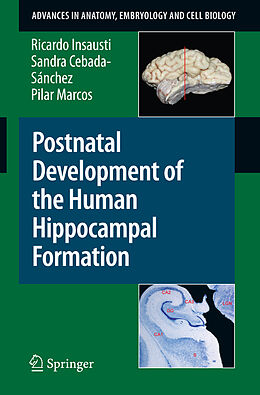 Couverture cartonnée Postnatal Development of the Human Hippocampal Formation de Ricardo Insausti, Pilar Marcos, Sandra Cebada-Sánchez