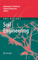 eBook (pdf) Soil Engineering de Athanasios P. Dedousis, Thomas Bartzanas