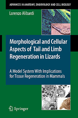 eBook (pdf) Morphological and Cellular Aspects of Tail and Limb Regeneration in Lizards de Lorenzo Alibardi