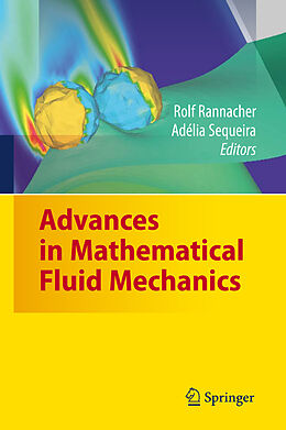 Livre Relié Advances in Mathematical Fluid Mechanics de 