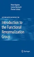 E-Book (pdf) Introduction to the Functional Renormalization Group von Peter Kopietz, Lorenz Bartosch, Florian Schütz