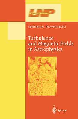 Kartonierter Einband Turbulence and Magnetic Fields in Astrophysics von 