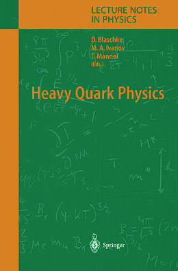 Kartonierter Einband Heavy Quark Physics von 