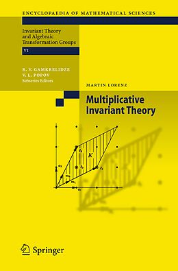 Kartonierter Einband Multiplicative Invariant Theory von Martin Lorenz