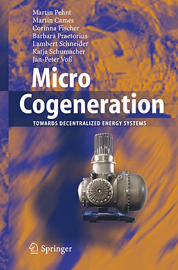 Kartonierter Einband Micro Cogeneration von Martin Pehnt, Martin Cames, Corinna Fischer