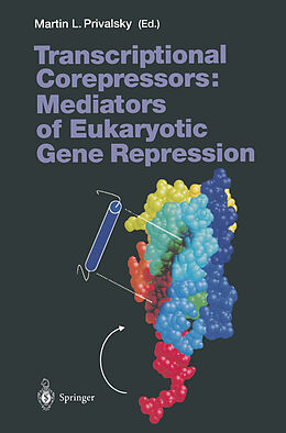 Kartonierter Einband Transcriptional Corepressors: Mediators of Eukaryotic Gene Repression von 
