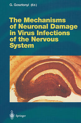 Kartonierter Einband The Mechanisms of Neuronal Damage in Virus Infections of the Nervous System von 
