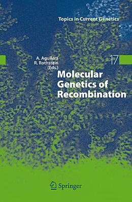 Kartonierter Einband Molecular Genetics of Recombination von 