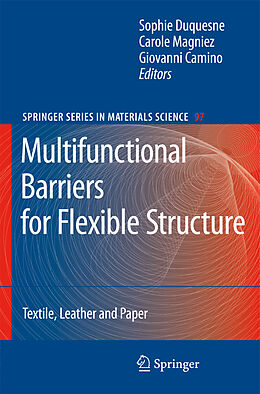 Kartonierter Einband Multifunctional Barriers for Flexible Structure von 