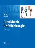E-Book (pdf) Praxisbuch Unfallchirurgie von Bernhard Weigel, Michael L. Nerlich