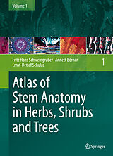 eBook (pdf) Atlas of Stem Anatomy in Herbs, Shrubs and Trees de Fritz Hans Schweingruber, Annett Börner, Ernst-Detlef Schulze