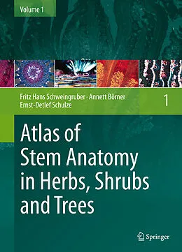 E-Book (pdf) Atlas of Stem Anatomy in Herbs, Shrubs and Trees von Fritz Hans Schweingruber, Annett Börner, Ernst-Detlef Schulze