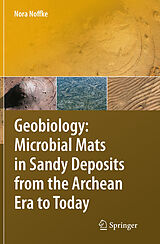 E-Book (pdf) Geobiology von Nora Noffke