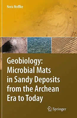 E-Book (pdf) Geobiology von Nora Noffke