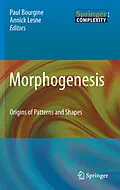 E-Book (pdf) Morphogenesis von Paul Bourgine, Annick Lesne