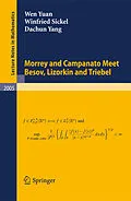 E-Book (pdf) Morrey and Campanato Meet Besov, Lizorkin and Triebel von Wen Yuan, Winfried Sickel, Dachun Yang