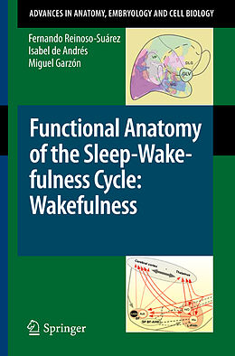 Kartonierter Einband Functional Anatomy of the Sleep-Wakefulness Cycle: Wakefulness von Fernando Reinoso-Suárez, Miguel Garzón, Isabel De Andrés