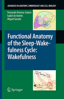 eBook (pdf) Functional Anatomy of the Sleep-Wakefulness Cycle: Wakefulness de Fernando Reinoso-Suárez, Isabel De Andrés, Miguel Garzón