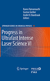 eBook (pdf) Progress in Ultrafast Intense Laser Science VI de Kaoru Yamanouchi, Gustav Gerber, Andre D. Bandrauk