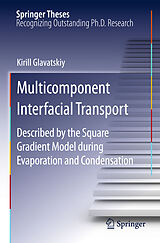 eBook (pdf) Multicomponent Interfacial Transport de Kirill Glavatskiy